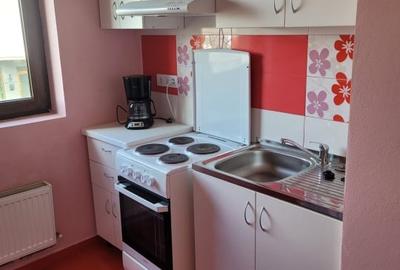 Apartament de inchiriat - 2 camere, etaj 1, in vila - Cartier Tilisca - 6
