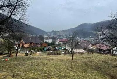 Casă cu Teren 6000 Mp în Tăuții-Măgherăuș - 8