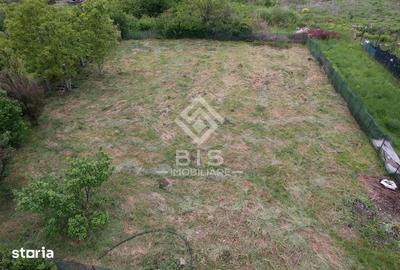 Teren de 863 mp, în Viișoara - 6