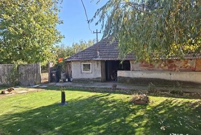 Casa cu teren 3.000 mp vie, livada, utilita?i, acte in regula! - 5