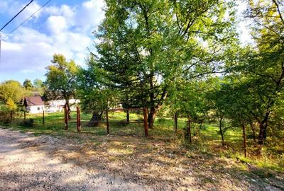 Vand teren in Corbeni, Arges - 2