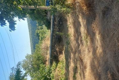 Casă cu 4 camere în Slava Rusă - 7