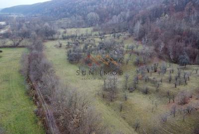 Teren 36000 m2, intravilan+partial extravilan, cadastru, Draganeasa PH - 2