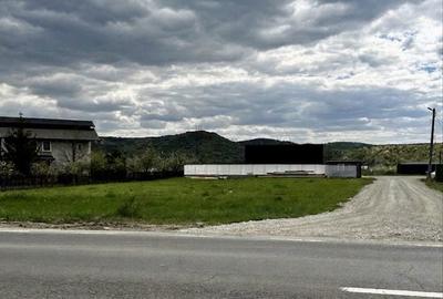 Teren de 6000 mp, în Oituz - 2