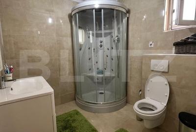 Casa superba in Livezeni Casa superba in Livezeni - 17