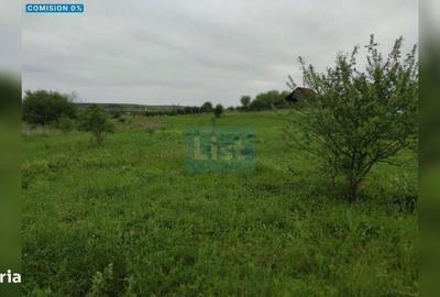 Spațiu comercial, în Sopor - 4