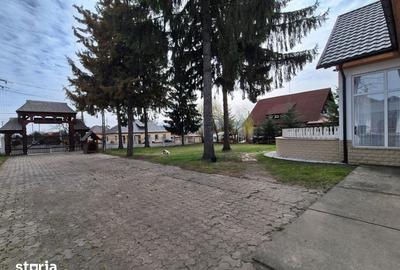 Casă cu 9 camere cu Teren 3500 Mp în Ocna Șugatag - 11