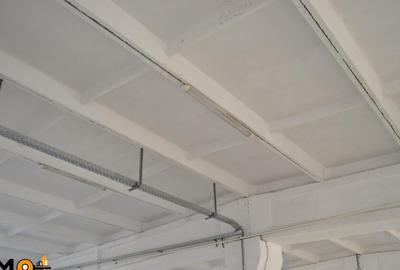 Hala 536mp Autorizata ISU - 3