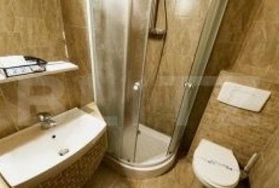 Pensiune de inchiriat, 450 mp, zona Lugojului Pensiune de inchiriat, 450 mp, zona Lugojului - 15