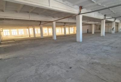 Spațiu industrial, de 3,700 mp, în Theodor Pallady - 11