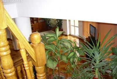 Casă cu 7 camere cu Canalizare în Calea Dumbrăvii - 5