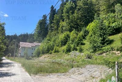 IDEAL INVESTITIE TEREN PREDEAL, 1936 mp intravilan, toate ut - 12