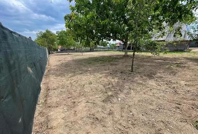 Loc casa , cu sura mare la munte in com Batrana Loc casa , cu sura mare la munte in com Batrana - 8