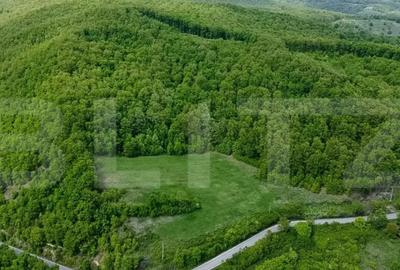 Teren de 13860 mp, în Central - 6