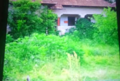 Casă cu 3 camere cu Teren 1700 Mp în Central - 1