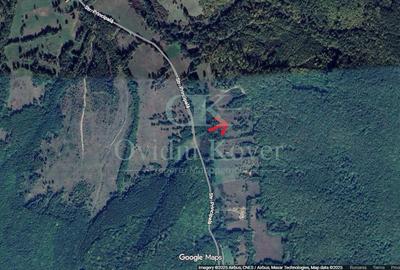 Teren agricol extravilan de 5500 mp, în Lisnău-Vale - 2