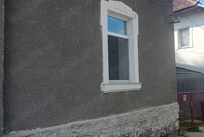 Casa Anina -casa de vacanta - 1