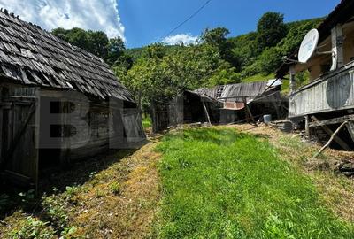 Casa la munte cu teren generos de 9340mp in zona Capalna - Valea Sebesului - 8