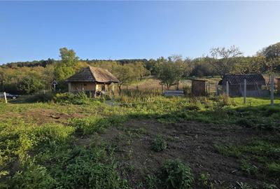 CASA  CU TEREN 2690 MP MOCIU CASA  CU TEREN 2690 MP MOCIU - 4