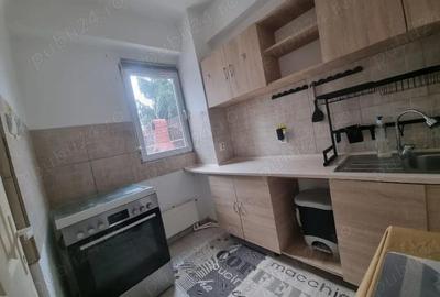 Apartament cu 2 camere semidecomandat în Ozana - 6