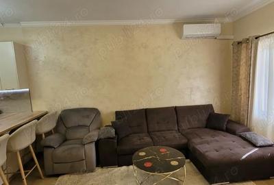 Casă cu 2 camere cu Teren 530 Mp în Pișchia - 4