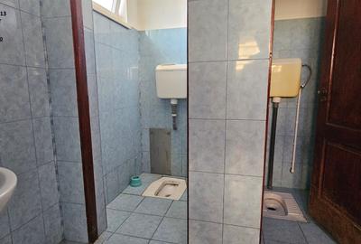 Proprietate multifunctionala com.D-va Rosie,casa+ spatiu comercial + teren - 14