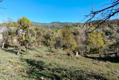 Teren de 2406 mp, în Central - 6