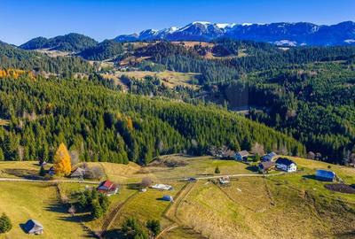 Teren Construcții intravilan de 13800 mp, în Fundățica - 16