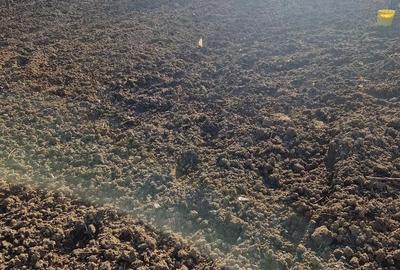 Casă cu 3 camere cu Teren 1500 Mp în Bala - 9