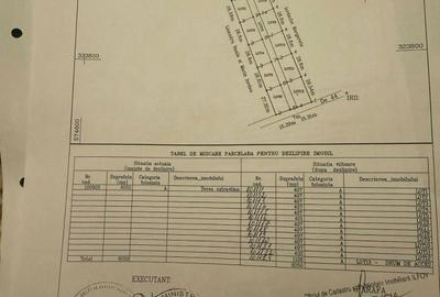 Spațiu comercial, în Domnești - 1