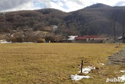 Teren de 2000 mp, în Central - 2
