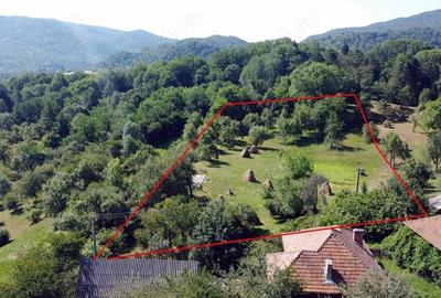 Teren de 6348 mp, în Corbeni - 7