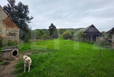 Casa de vanzare, cu 4 camere, 80 mp, satul Doroslea - 3
