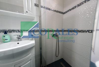 Piata Unirii. Strada pietonala. Cladire renovata! - 11