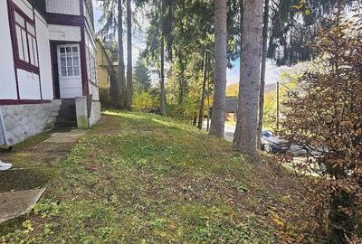 Spațiu comercial, de 350 mp, în Sighișoara - 1