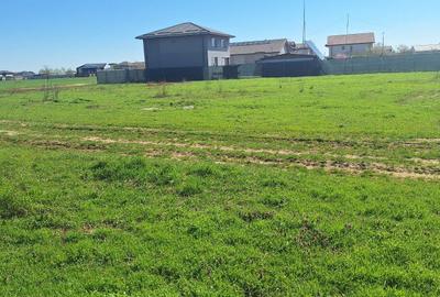 Teren Construcții intravilan de 2262 mp, în Dragomirești-Vale - 2