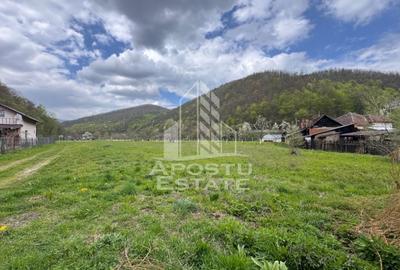 Teren Construcții intravilan de 1000 mp, în Groș - 1