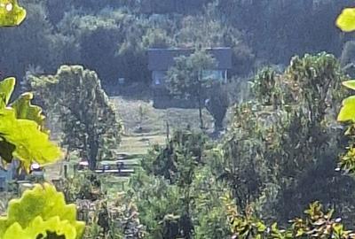 Casă în Izvin - 7