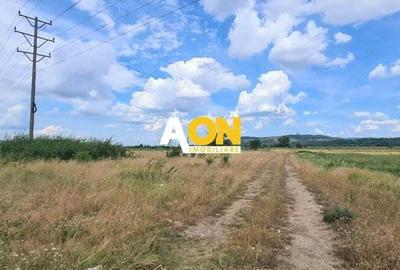 Teren de Vanzare, 1440MP, Zona Centura Teren de Vanzare, 1440MP, Zona Centura - 2