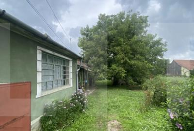 Casă cu 3 camere cu Teren 2100 Mp în Central - 8