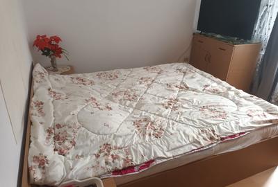 Apartament cu 2 camere decomandat, mobilat în Dristor - 10