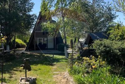 Casă cu 4 camere cu Teren 959 Mp în Lăzăreni - 6