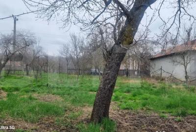 Teren în Scorțeni - 6