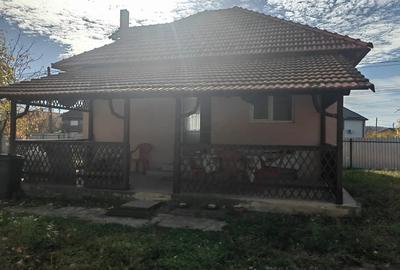 Vand casa centru Ineu - 2