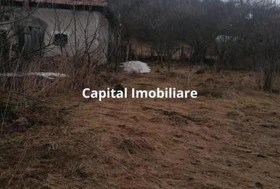 Casă cu 3 camere cu Teren 3040 Mp în Ceanu Mic - 11