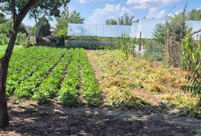 Casă cu 3 camere în Exterior Vest - 2