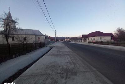 Teren de 1800 mp, în Tăuții-Măgherăuș