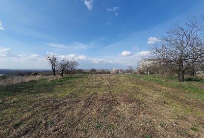 Teren de 1000 mp, în Săldăbagiu de Munte - 1