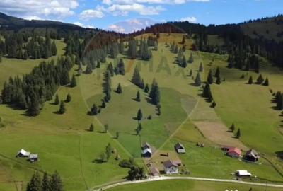 Teren de 14318 mp, în Paltin - 3