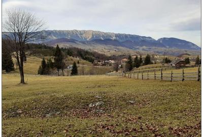 Teren Construcții extravilan de 12800 mp, în Fundata